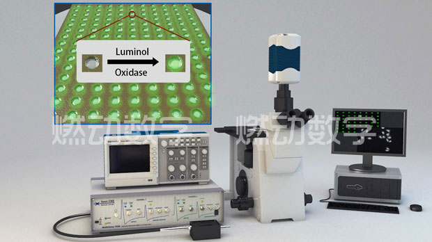 南大化學(xué)化工學(xué)院單細胞電化學(xué)分析模塊三維可視化仿真